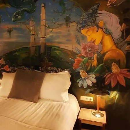 The Project 住宿加早餐酒店 海尔伦